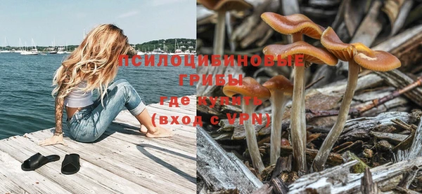 МДПВ Армянск