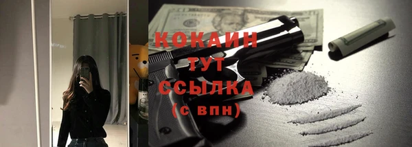 шишки Аркадак