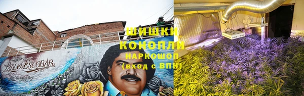 шишки Аркадак