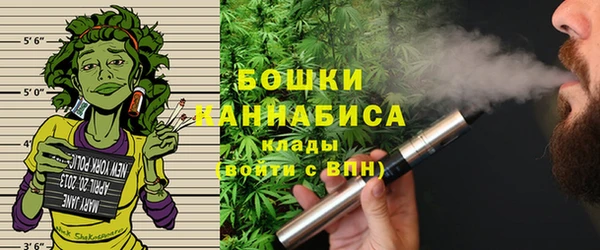прущие грибы Арсеньев