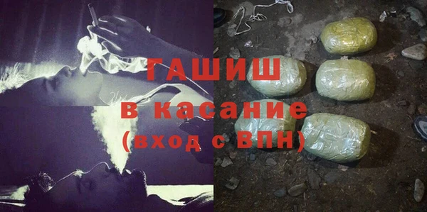 шишки Аркадак