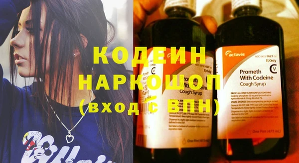 шишки Аркадак