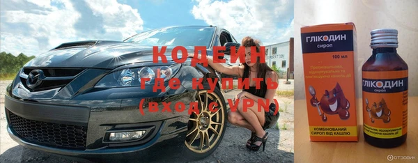 шишки Аркадак