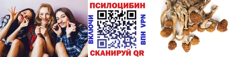 Псилоцибиновые грибы прущие грибы  наркота  Урень 